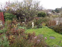 Beautiful Well Established Garden