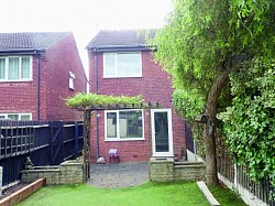 Low maintenance garden