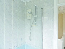 Over the bath shower